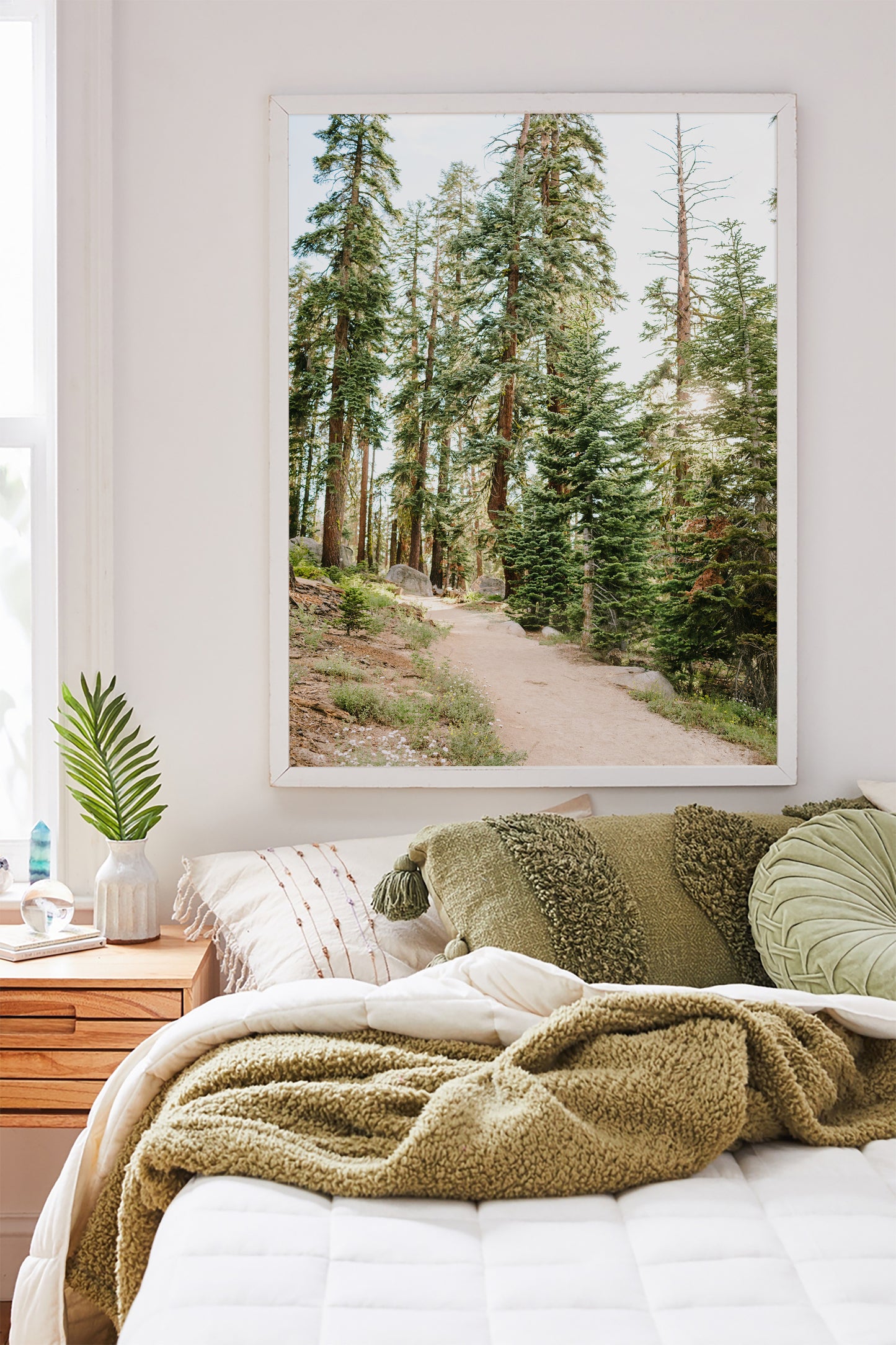 YOSEMITE FOREST Framed & Mounted Print