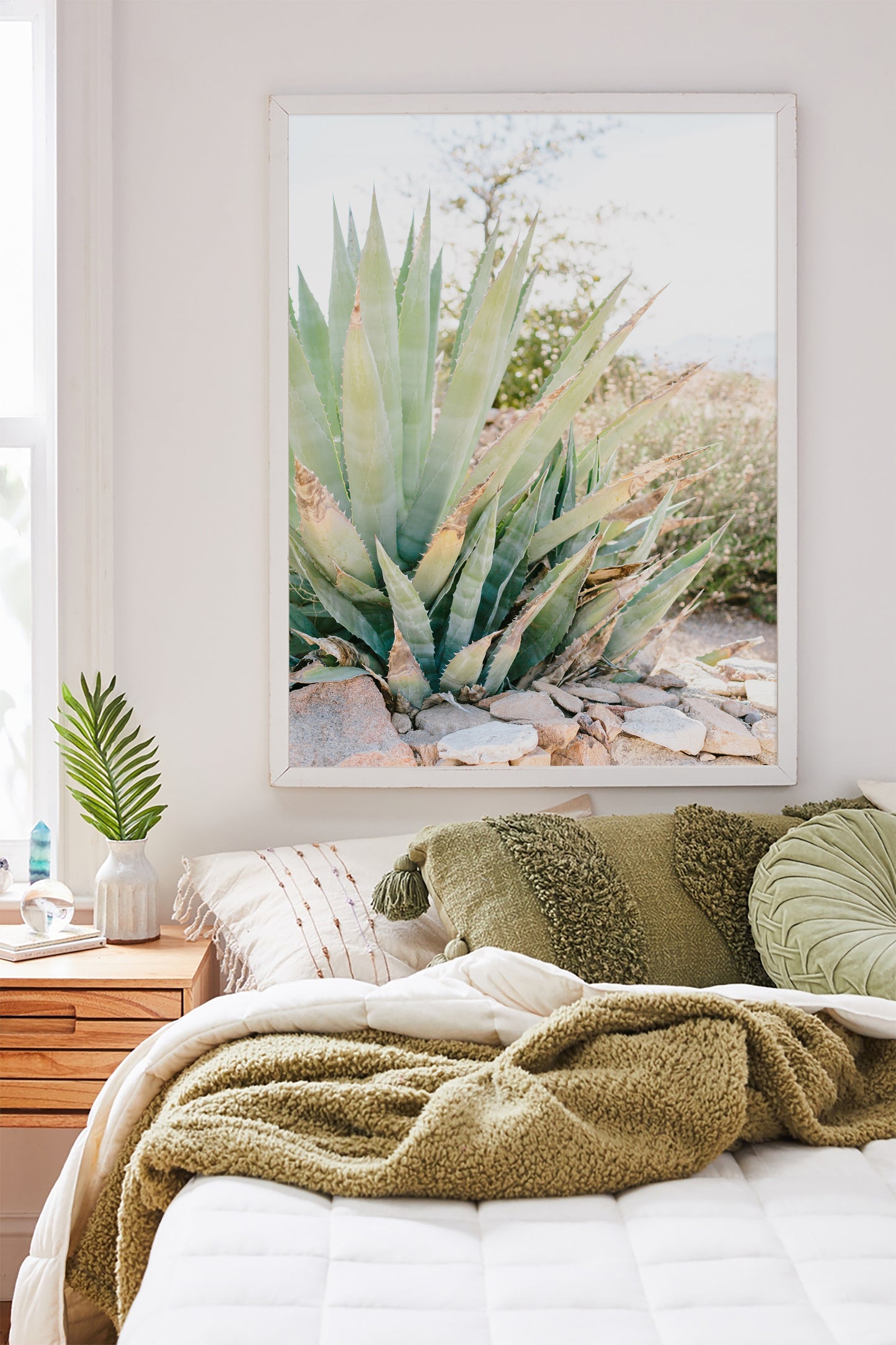 CACTUS Framed & Mounted Print