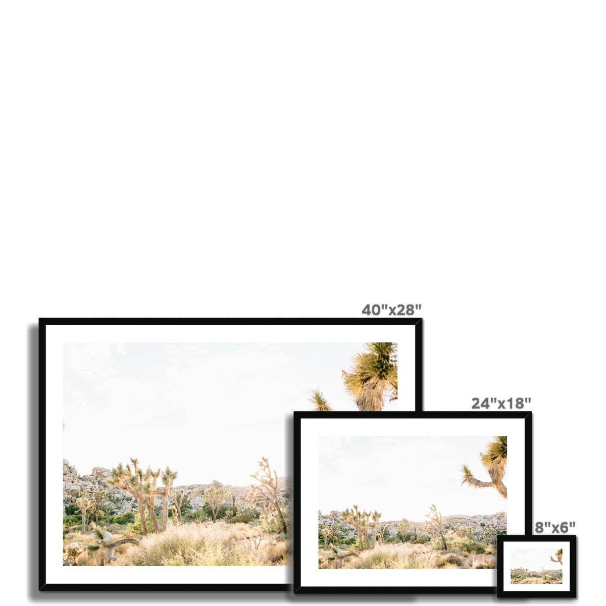 JOSHUA TREE II Framed & Mounted Print