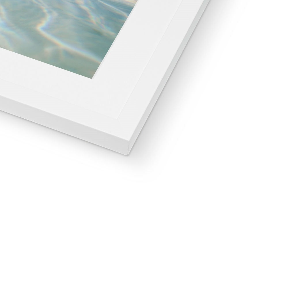 SWIMMING PIG Framed & Mounted Print