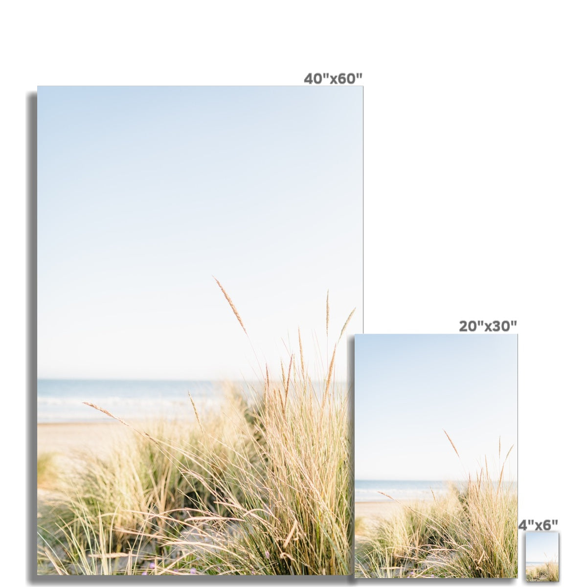 Sea Grass Fine Art Print