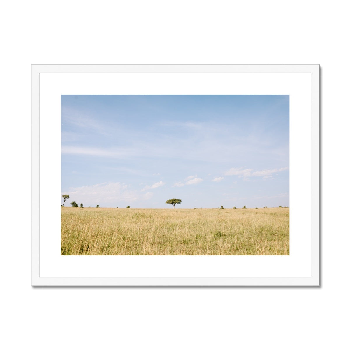 SAFARI LANDSCAPE Framed & Mounted Print
