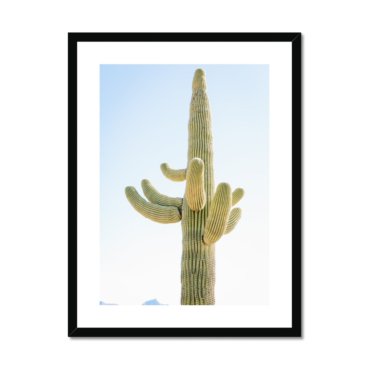 SAGUARO Framed & Mounted Print