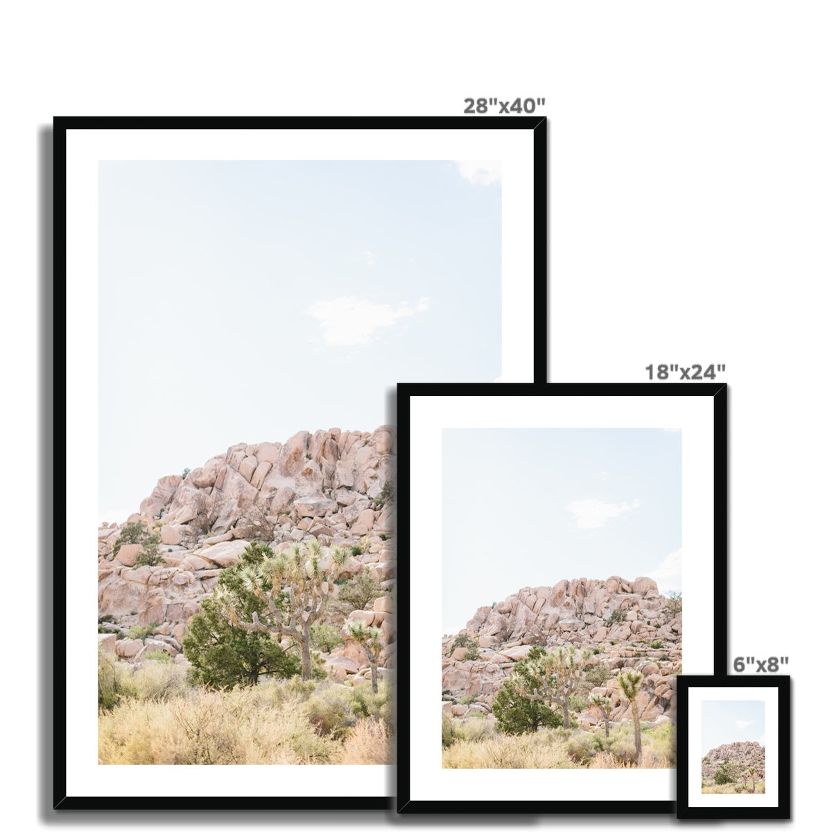 JOSHUA TREE VII Framed & Mounted Print