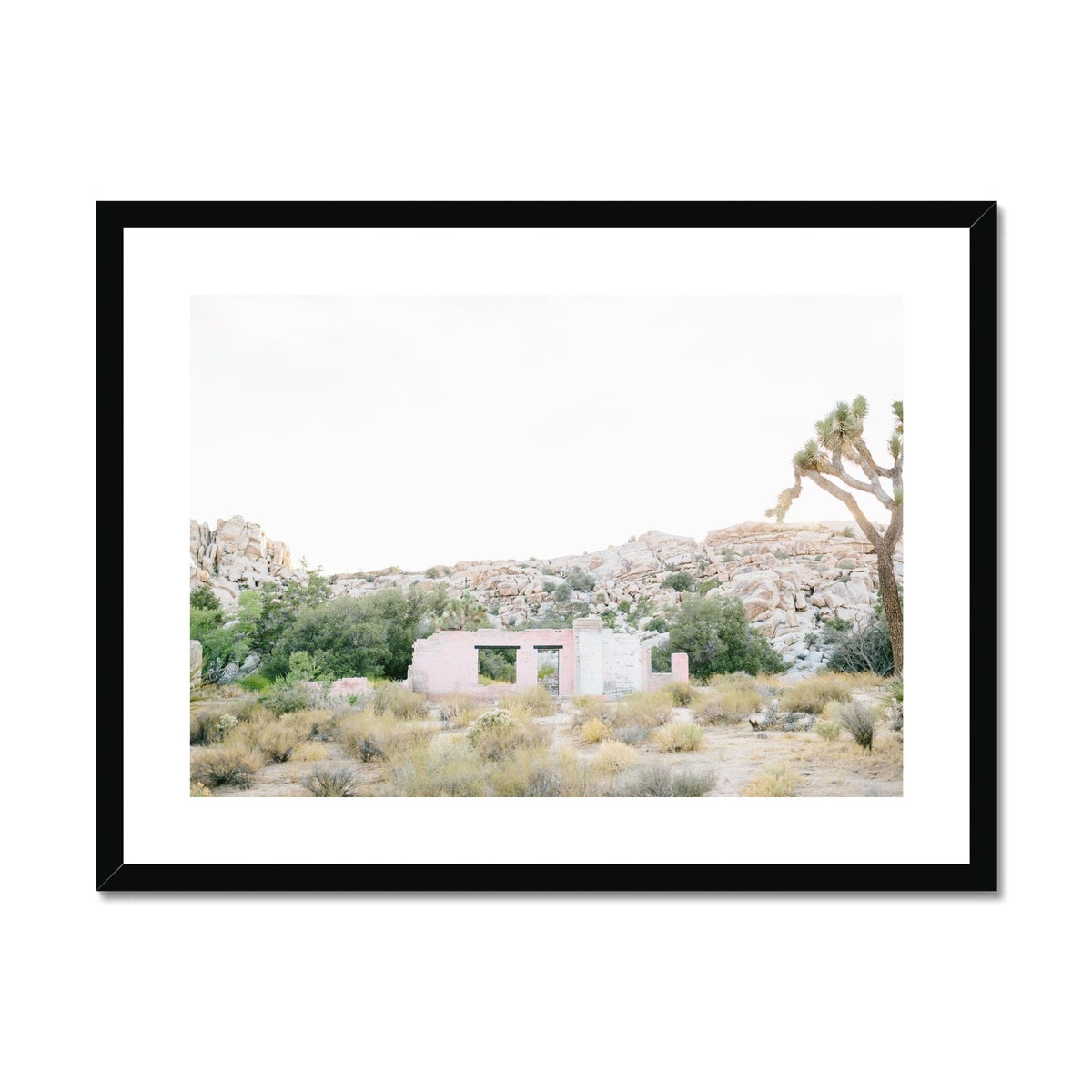 JOSHUA TREE RUINS Framed & Mounted Print
