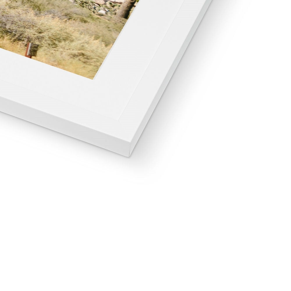 JOSHUA TREE IV Framed & Mounted Print