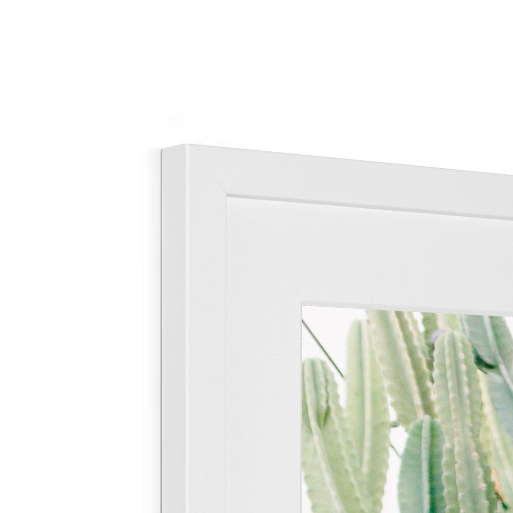 CACTUS IV Framed & Mounted Print