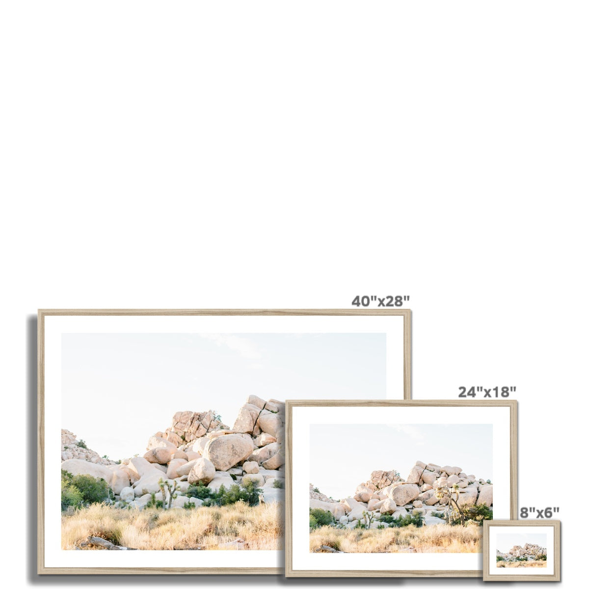 JOSHUA TREE X Framed & Mounted Print