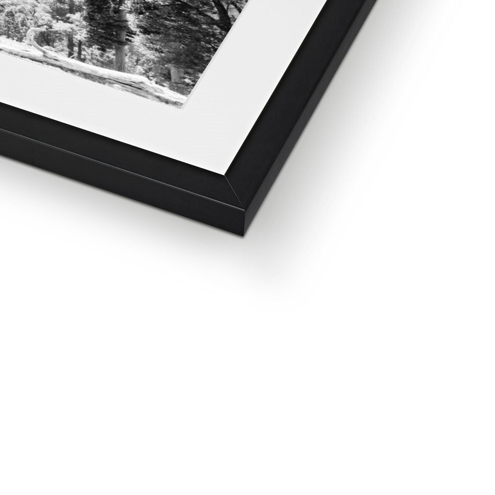 YOSEMITE BW Framed & Mounted Print