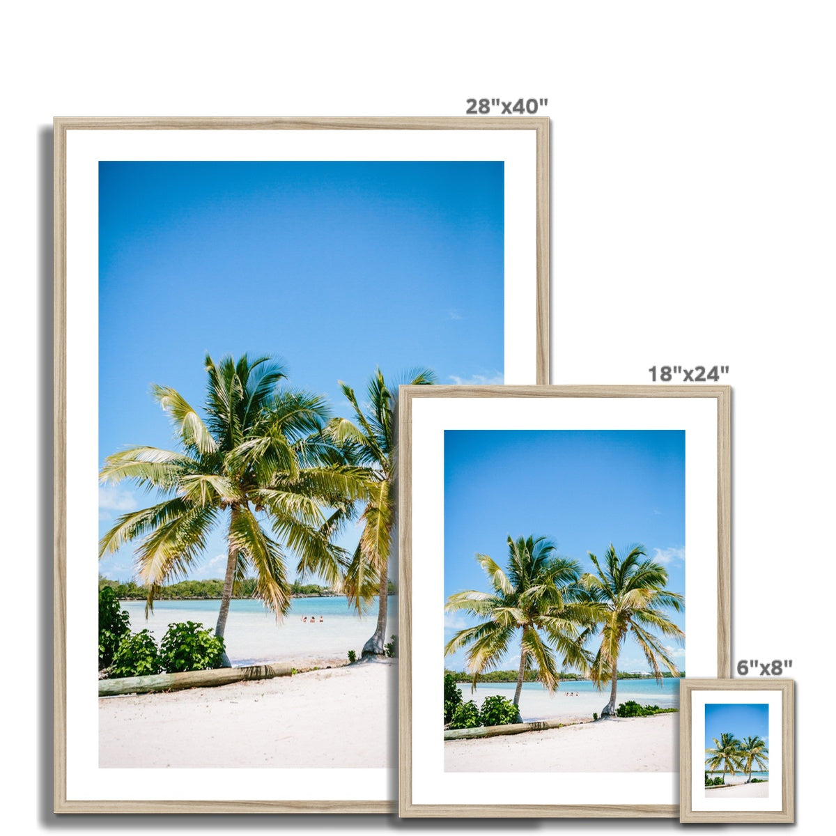 PALMS Framed & Mounted Print