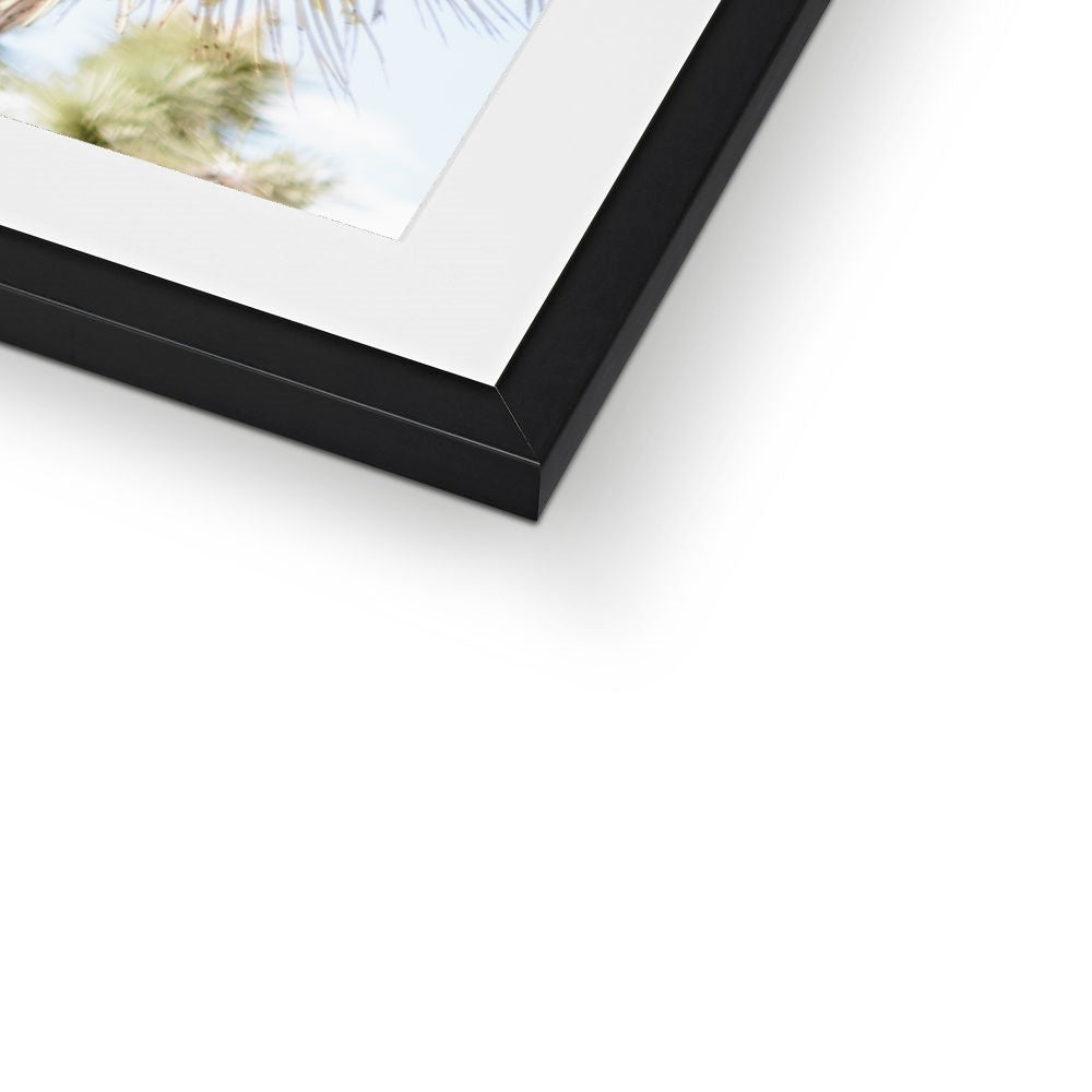 JOSHUA TREE UP CLOSE Framed & Mounted Print