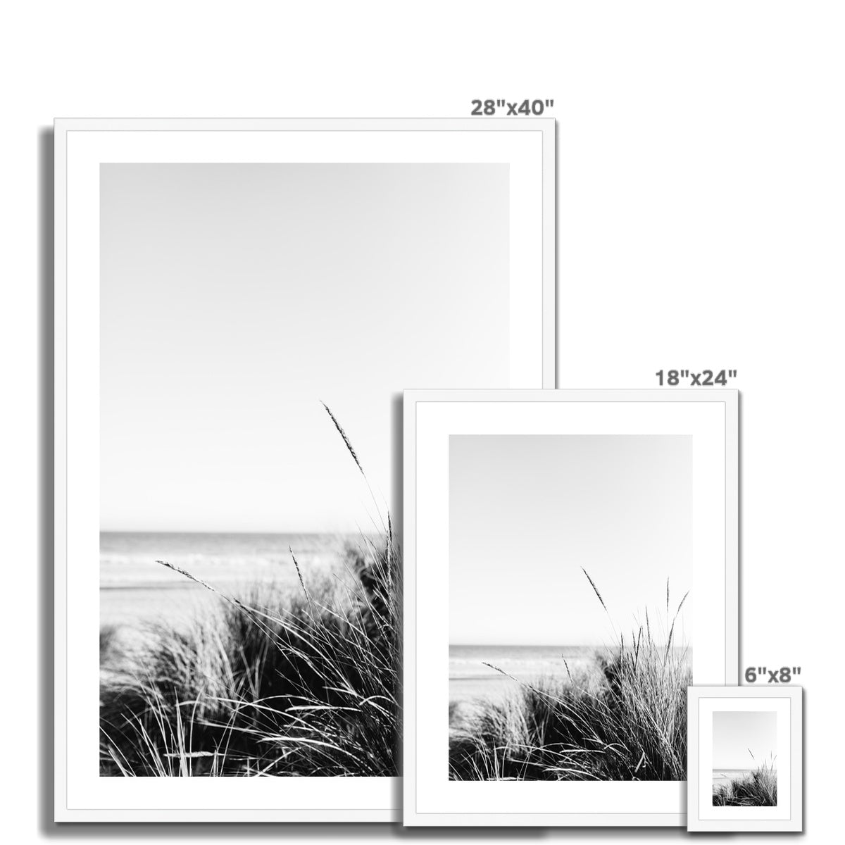 Sea Grass BW Framed & Mounted Print