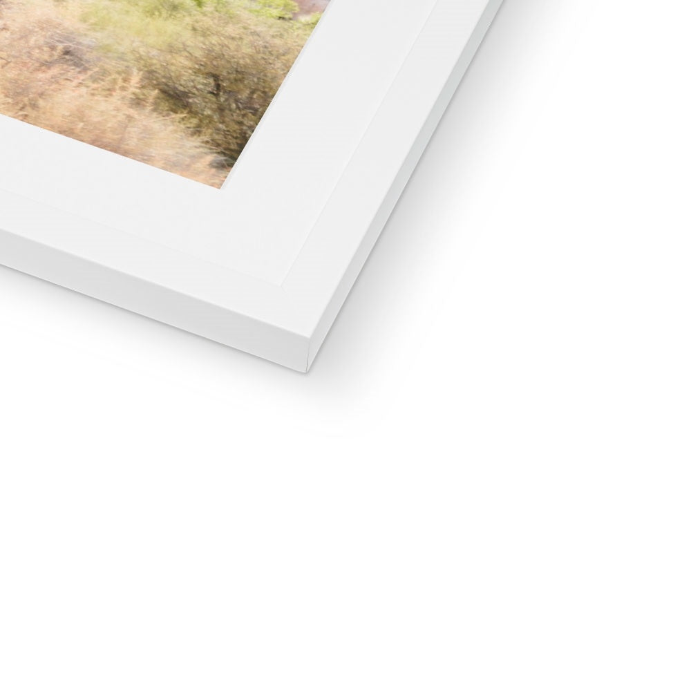 JOSHUA TREE VII Framed & Mounted Print