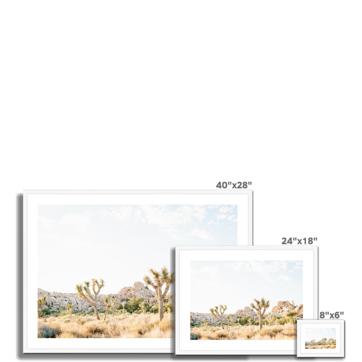 JOSHUA TREE VIII Framed & Mounted Print