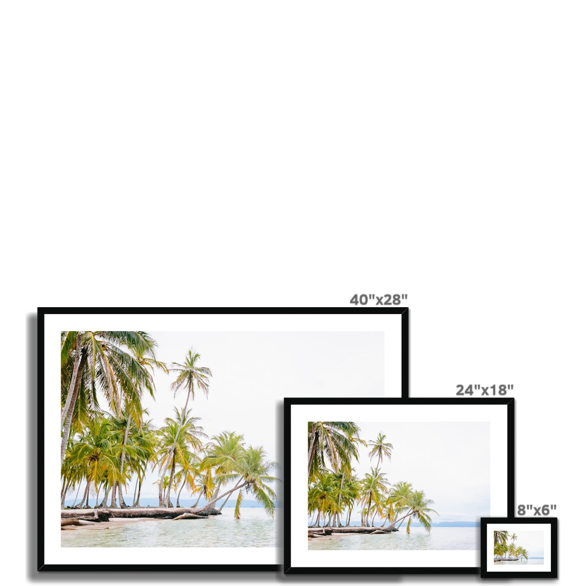 BENDING PALM Framed & Mounted Print