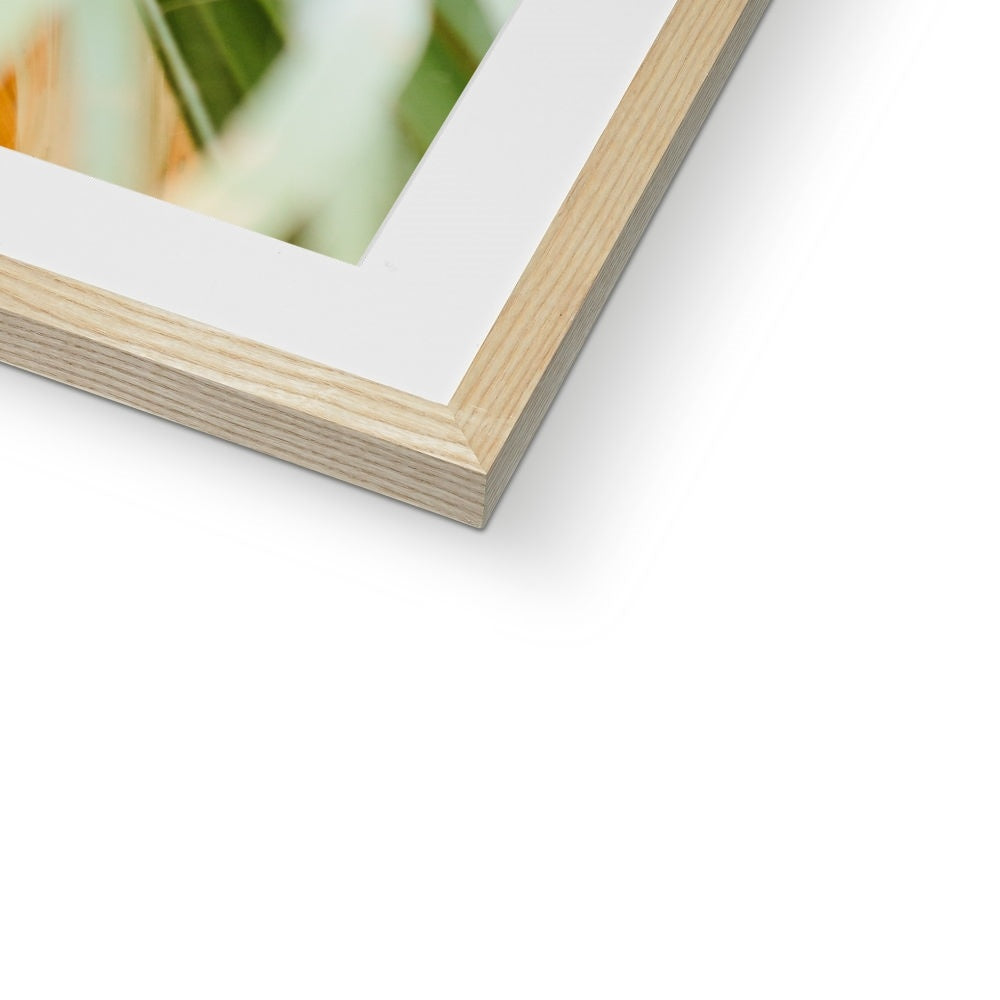 CALI PALMS Framed & Mounted Print