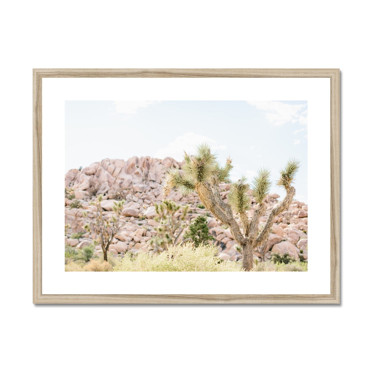 JOSHUA TREE VI Framed & Mounted Print
