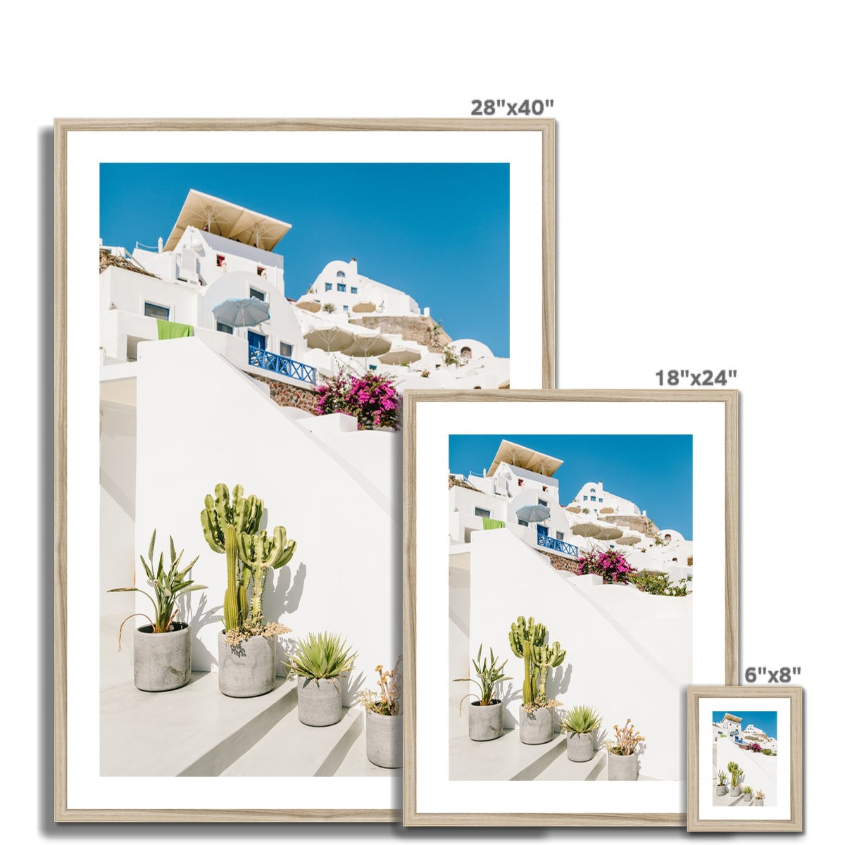 CACTI IN SANTORINI Framed & Mounted Print