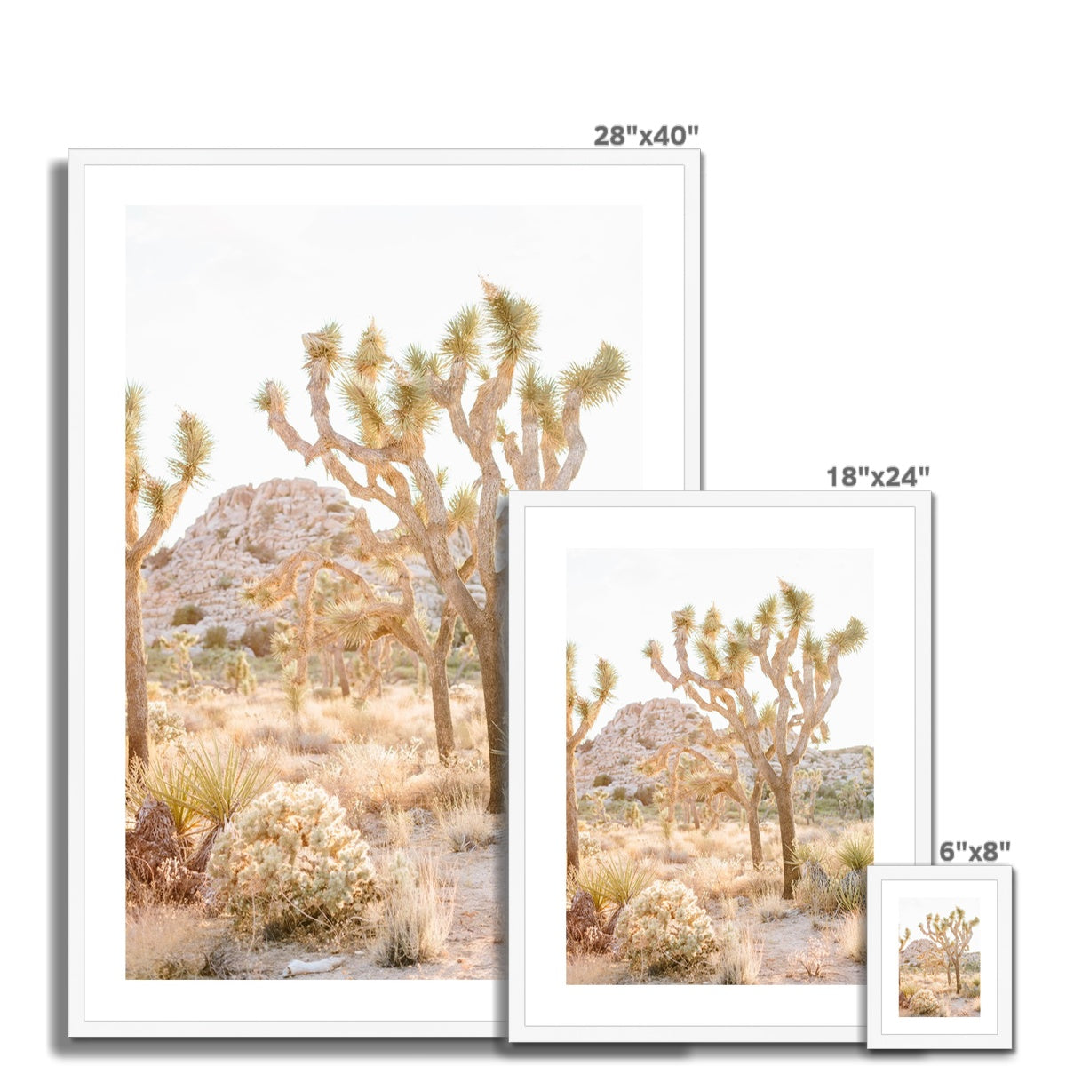 JOSHUA TREE Framed & Mounted Print