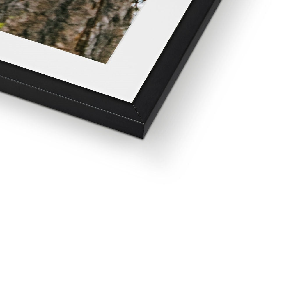 HALF DOME Framed & Mounted Print