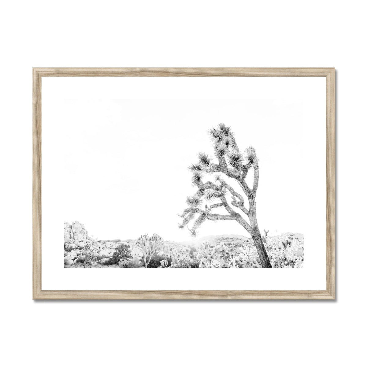 JOSHUA TREE V BW Framed & Mounted Print