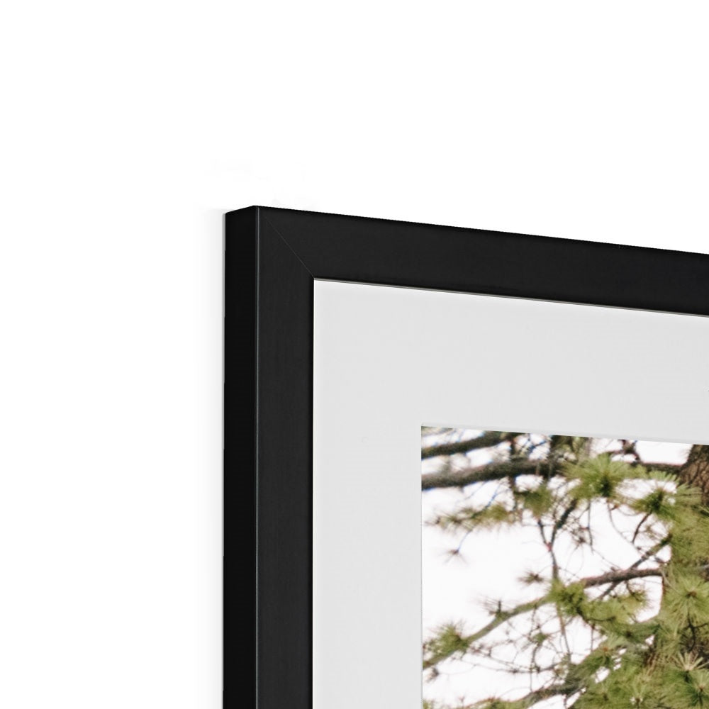 HALF DOME Framed & Mounted Print
