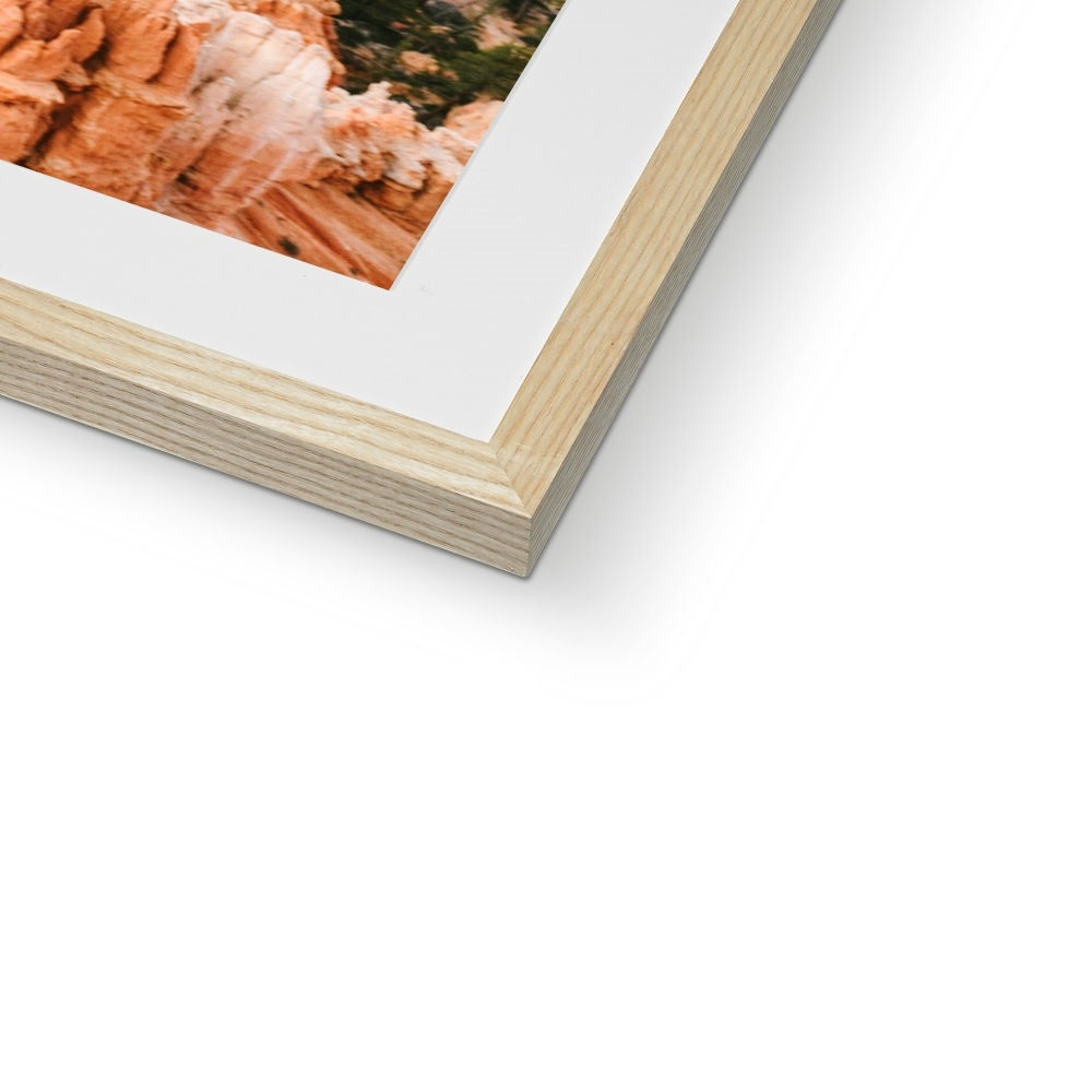 BRYCE CANYON II Framed & Mounted Print