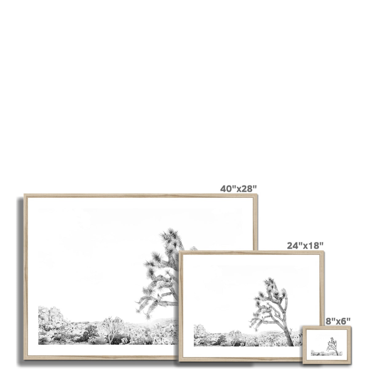 JOSHUA TREE V BW Framed & Mounted Print