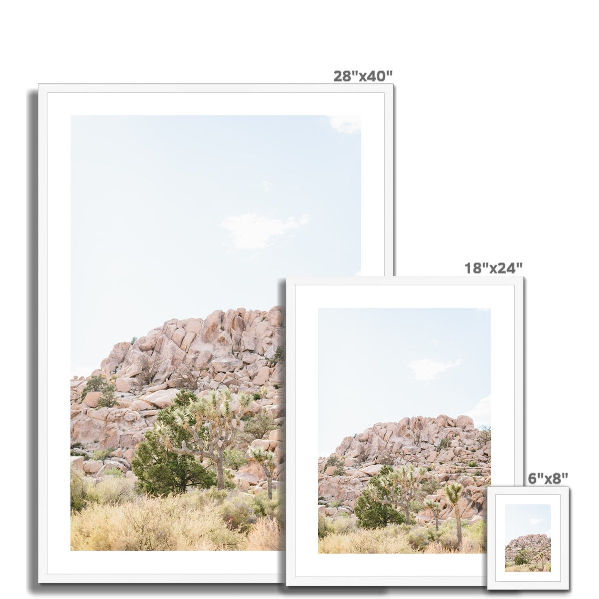 JOSHUA TREE VII Framed & Mounted Print