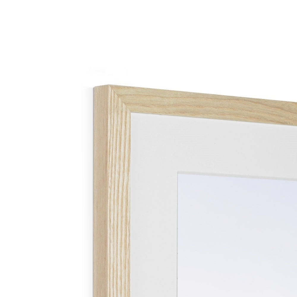 SAIL Framed & Mounted Print
