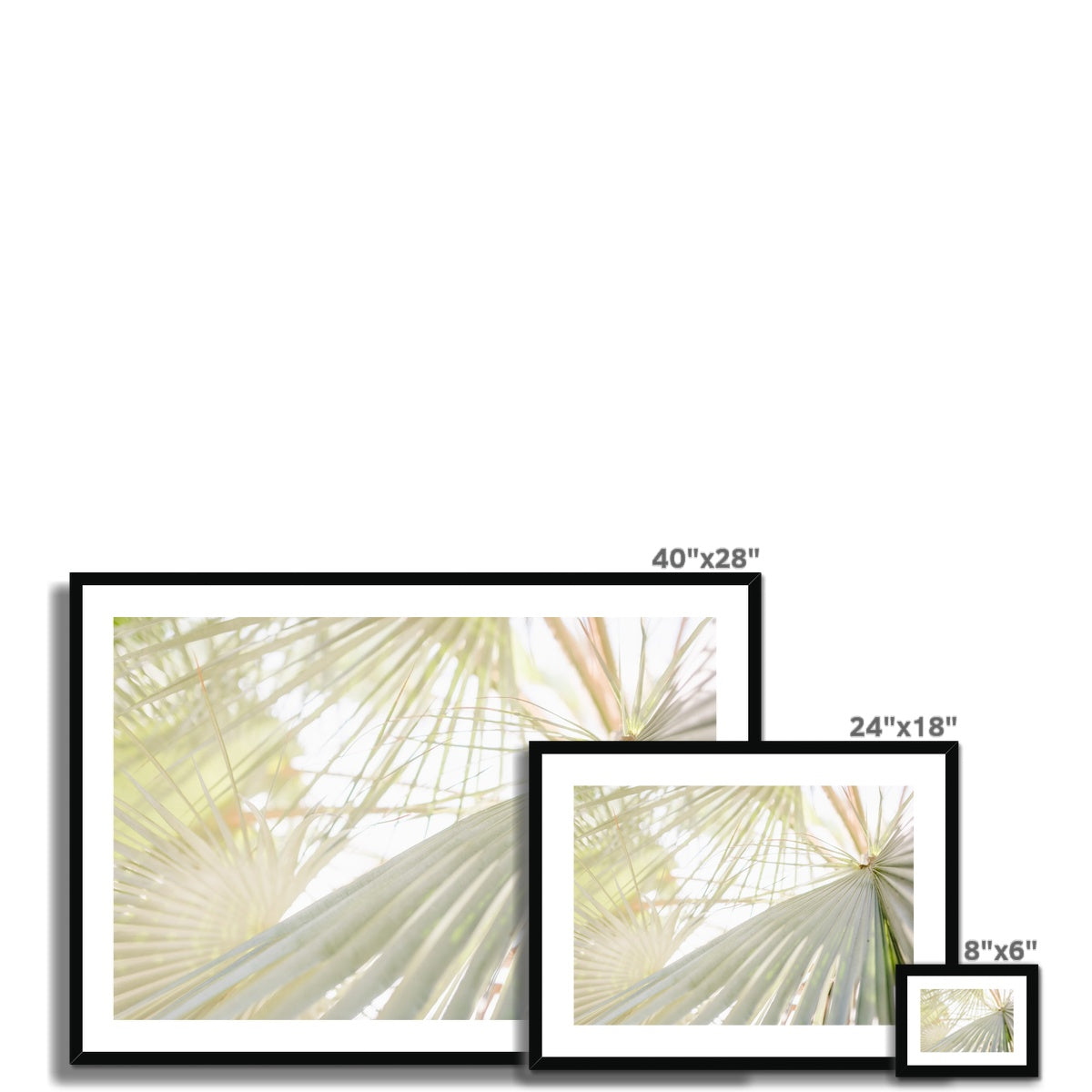 CALI PALMS II Framed & Mounted Print