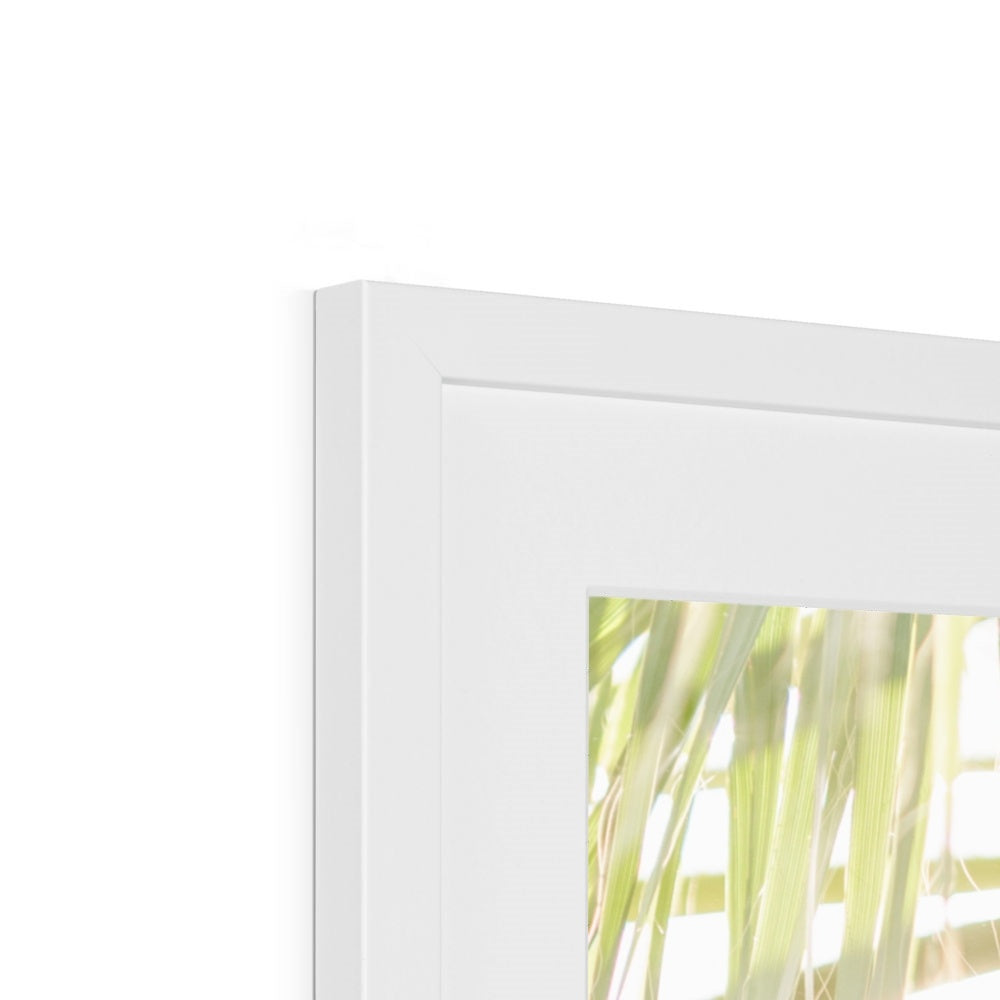 CALI PALMS Framed & Mounted Print