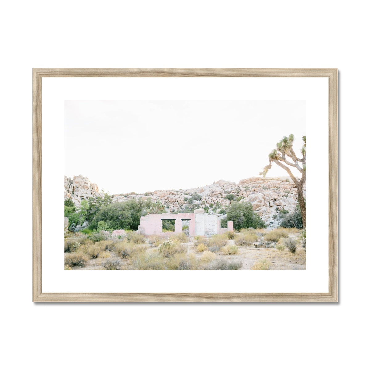 JOSHUA TREE RUINS Framed & Mounted Print