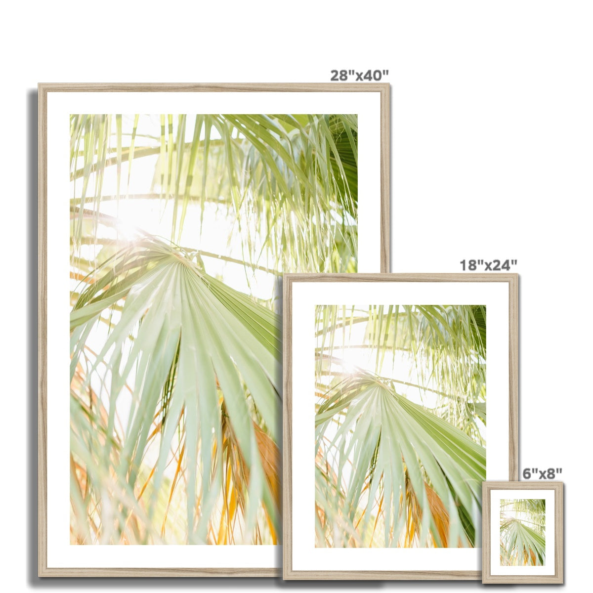 CALI PALMS Framed & Mounted Print