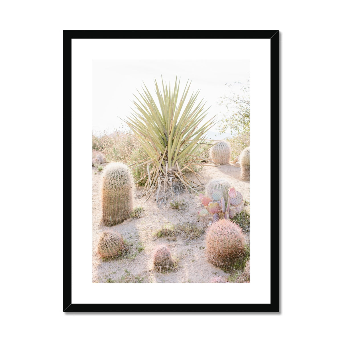 CACTUS III Framed & Mounted Print