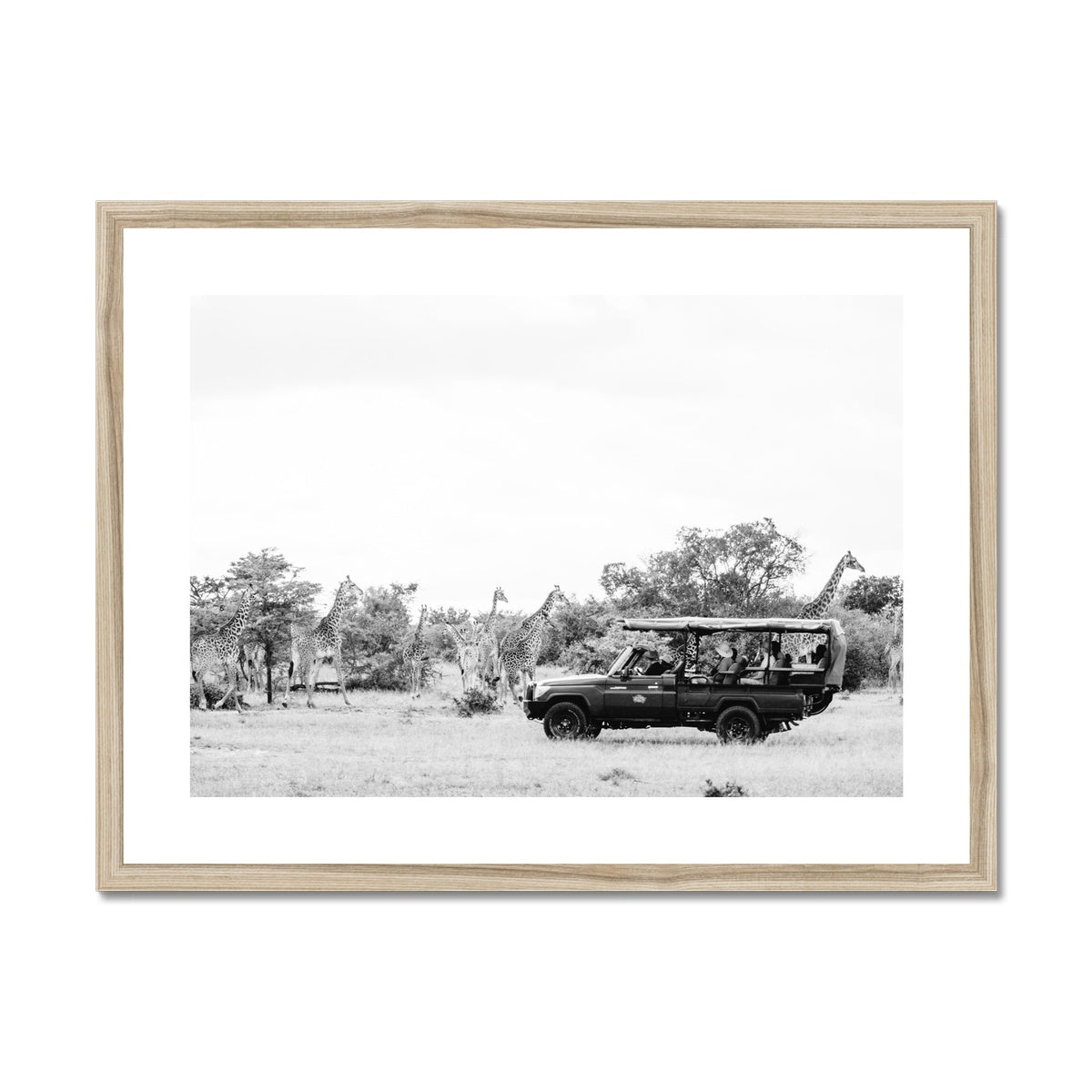 GIRAFFE SAFARI BW Framed & Mounted Print