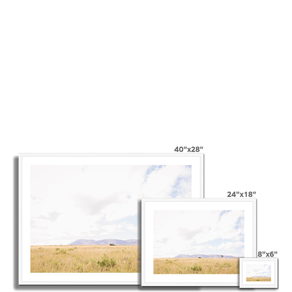 SAFARI LANDSCAPE Framed & Mounted Print