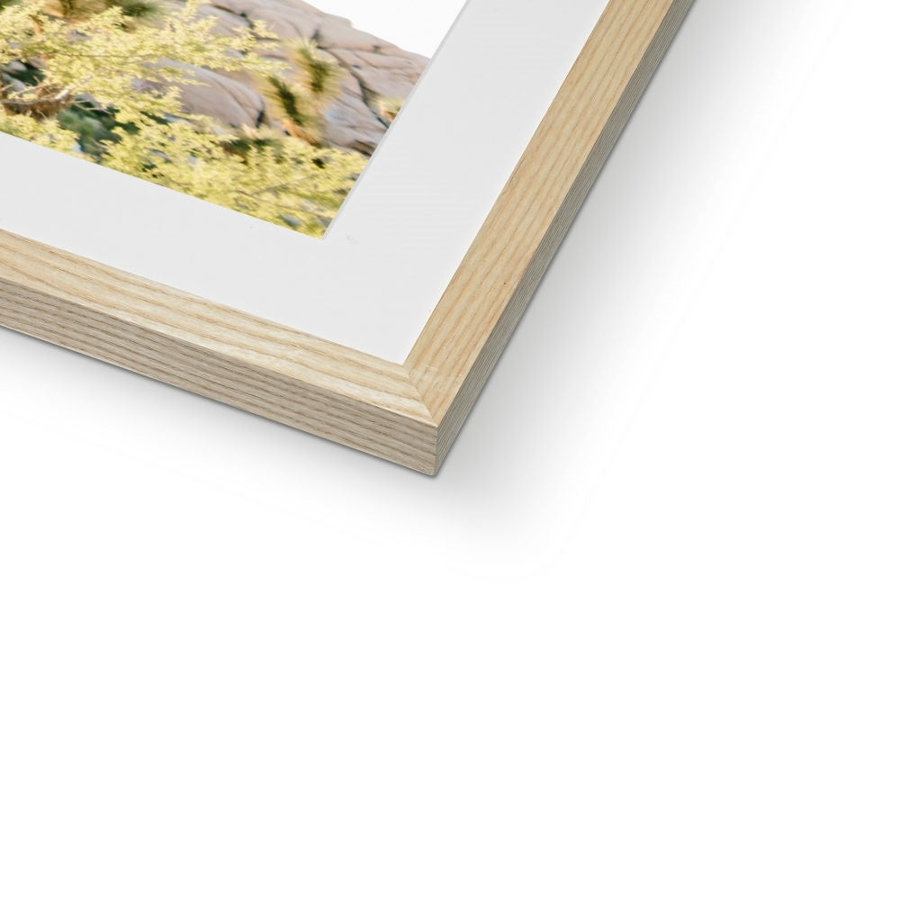 JOSHUA TREE V Framed & Mounted Print