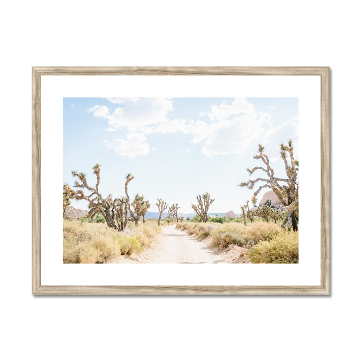 JOSHUA TREE ROAD Framed & Mounted Print