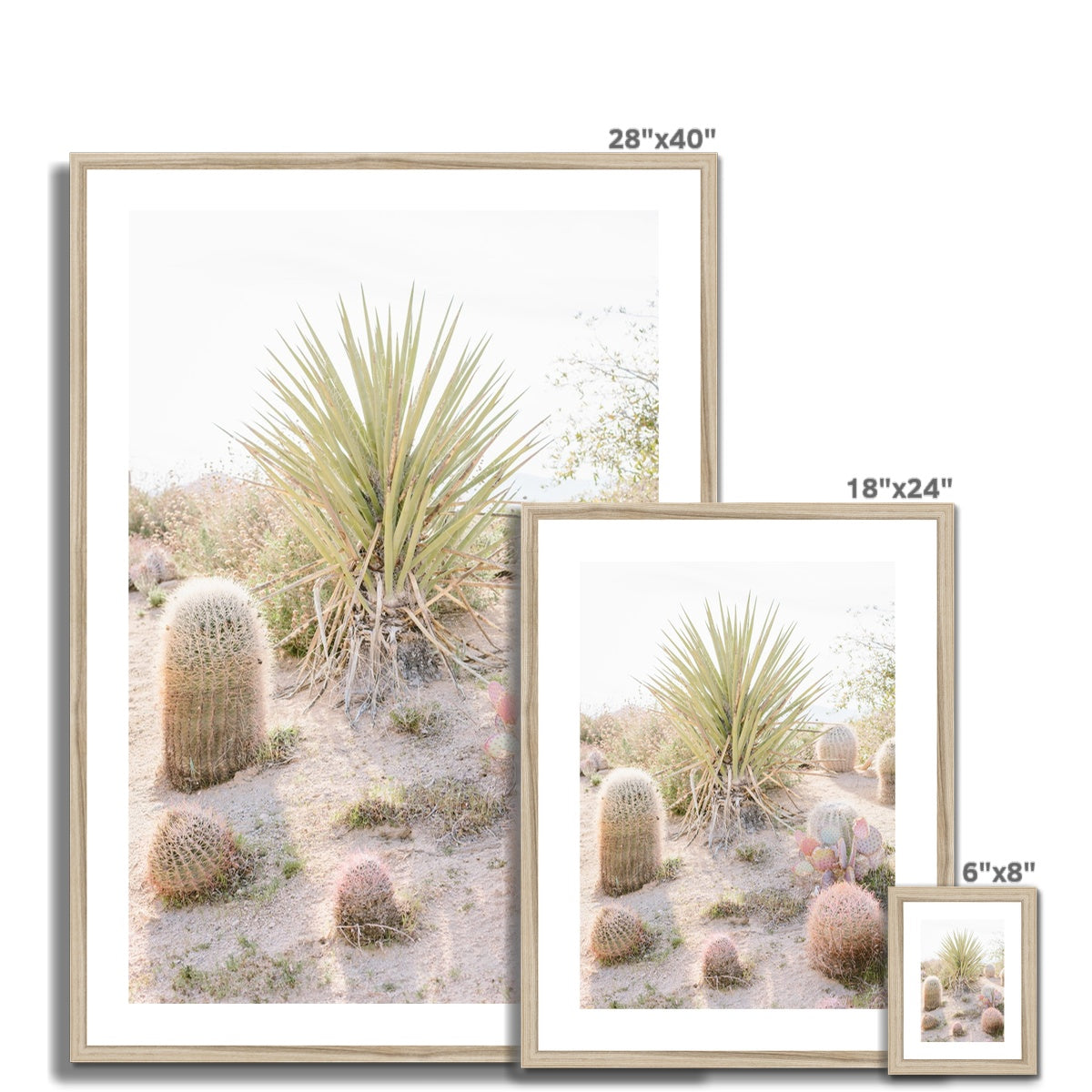 CACTUS III Framed & Mounted Print