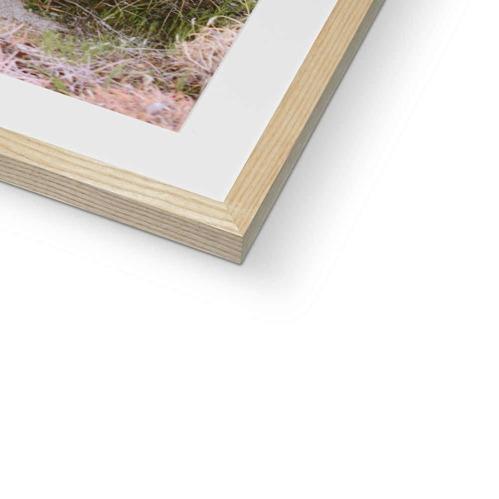 CACTUS III Framed & Mounted Print