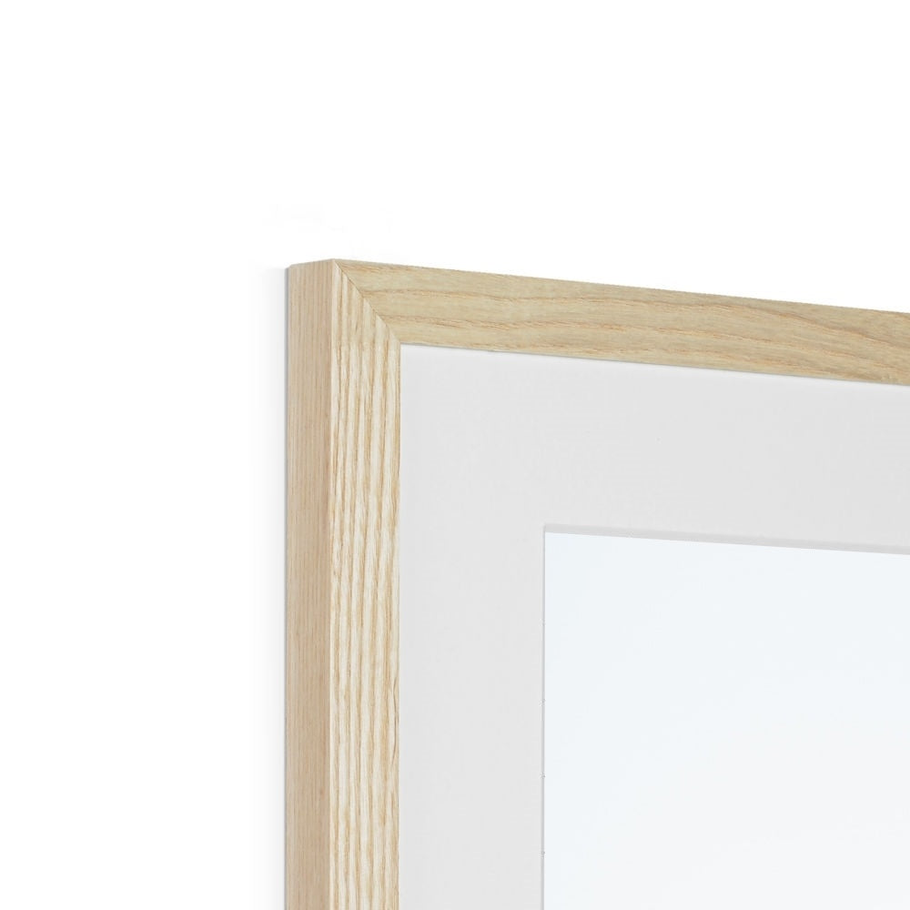 CACTUS Framed & Mounted Print
