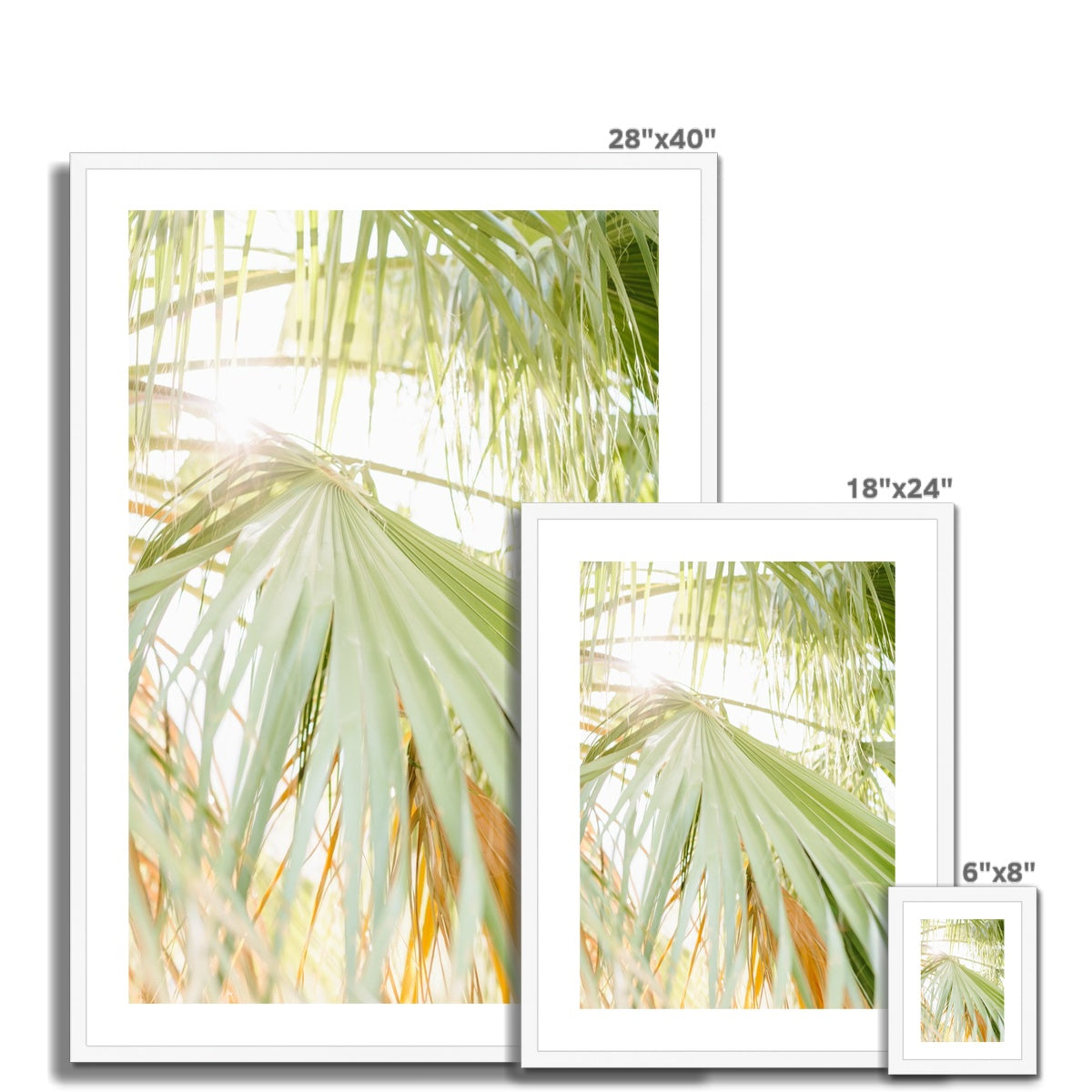 CALI PALMS Framed & Mounted Print