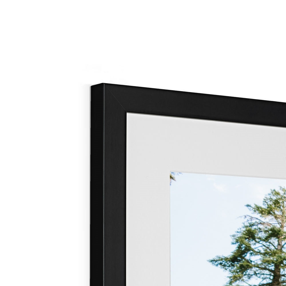 YOSEMITE FOREST Framed & Mounted Print