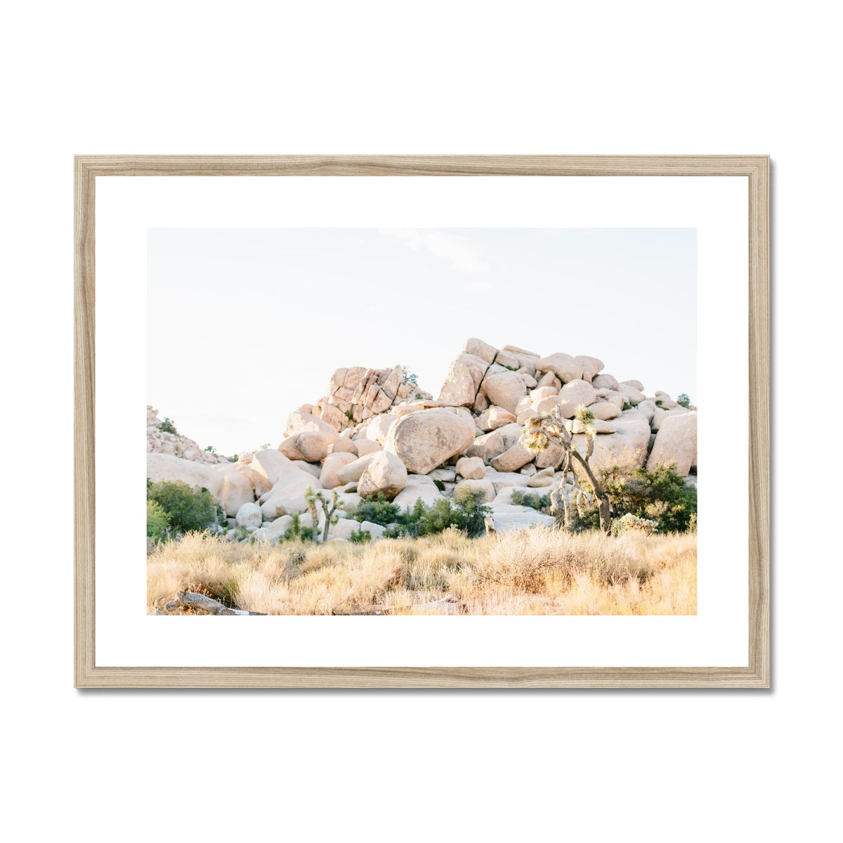 JOSHUA TREE X Framed & Mounted Print