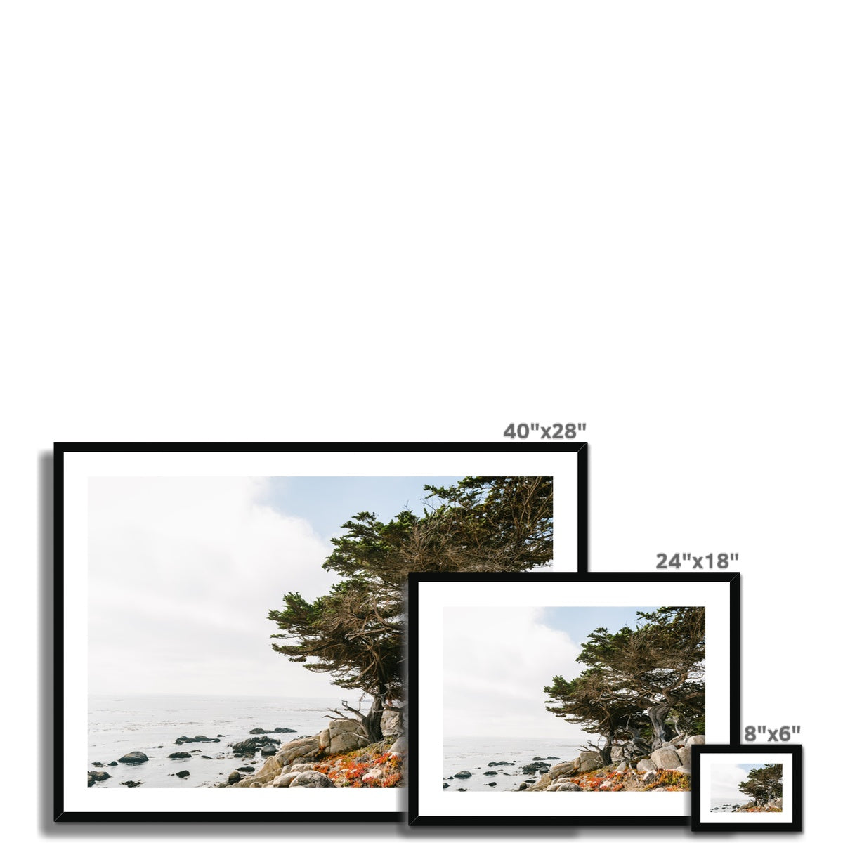 PEBBLE BEACH Framed & Mounted Print