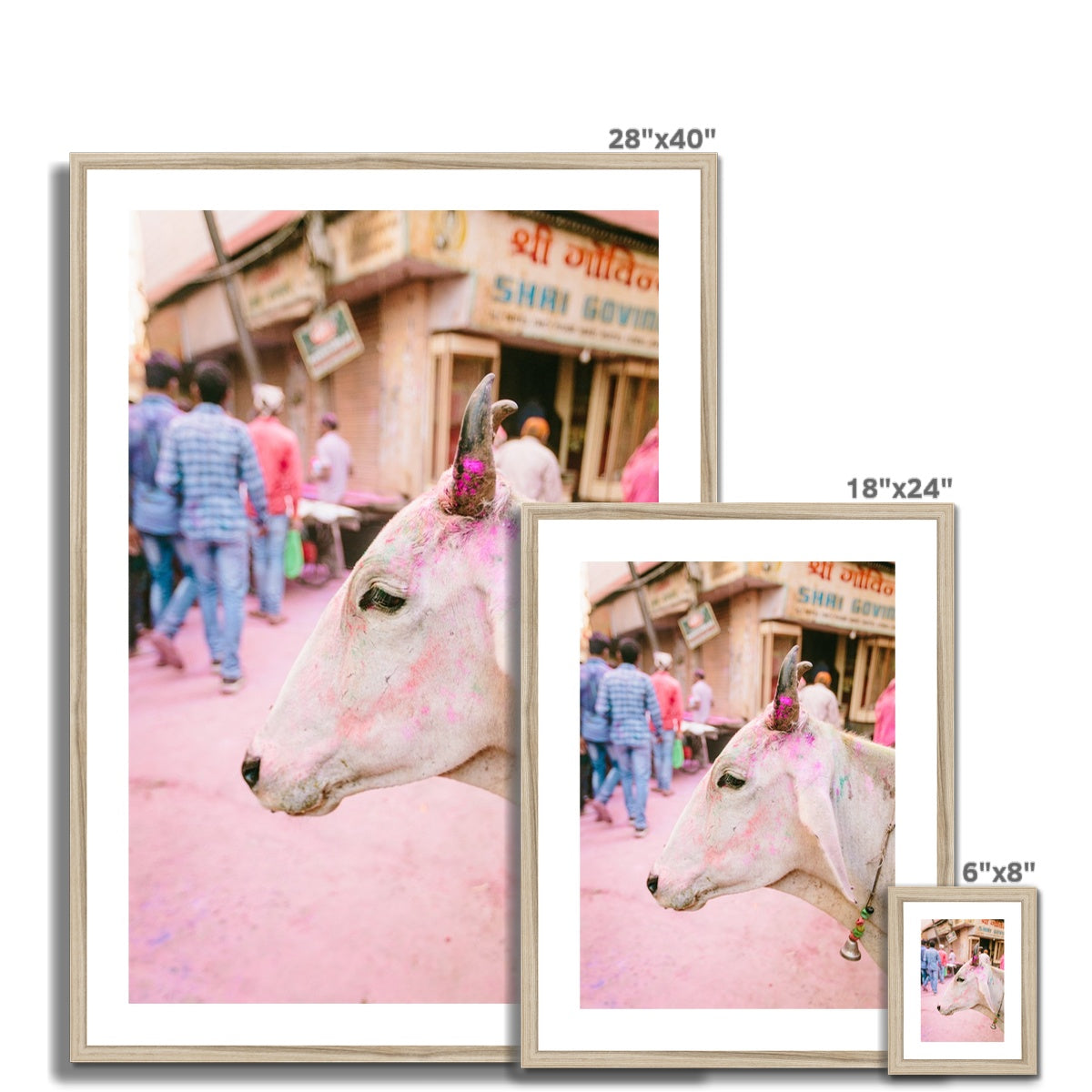 HOLI COW Framed & Mounted Print