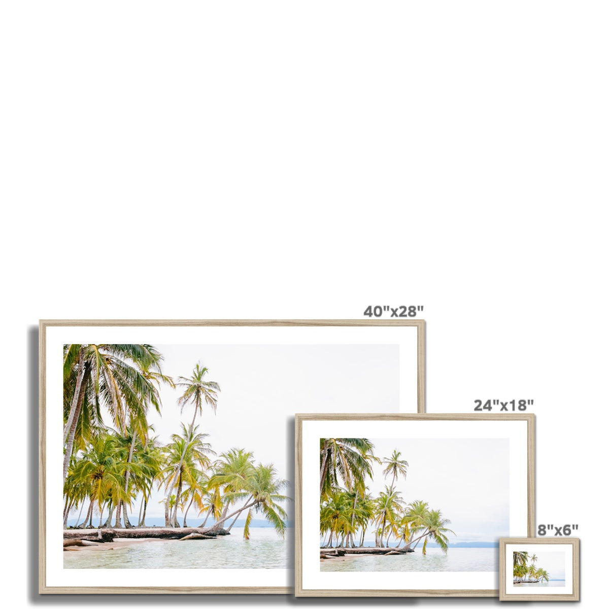 BENDING PALM Framed & Mounted Print