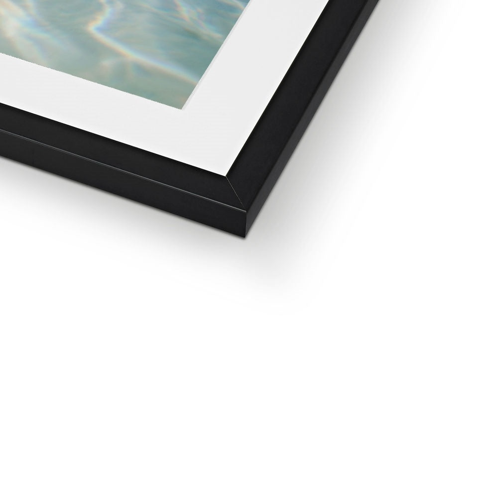 SWIMMING PIG Framed & Mounted Print