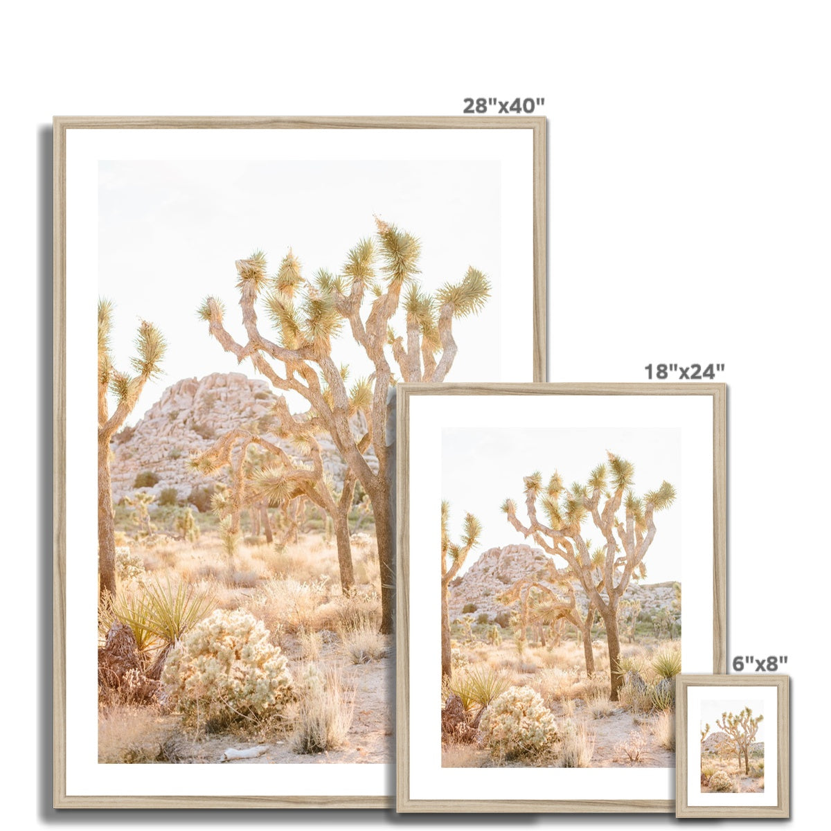 JOSHUA TREE Framed & Mounted Print
